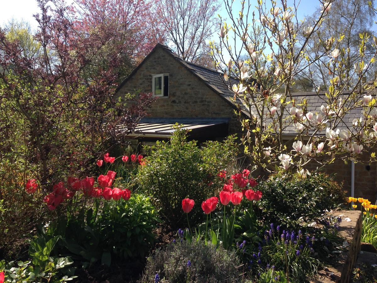 Bagnell Cottage Chiselborough Exterior photo