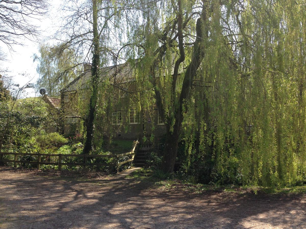 Bagnell Cottage Chiselborough Exterior photo