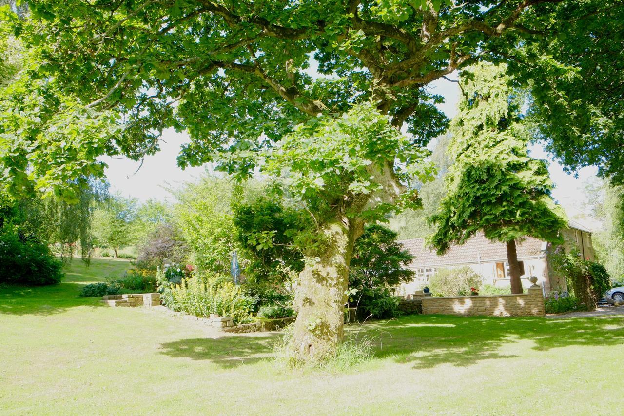 Bagnell Cottage Chiselborough Exterior photo